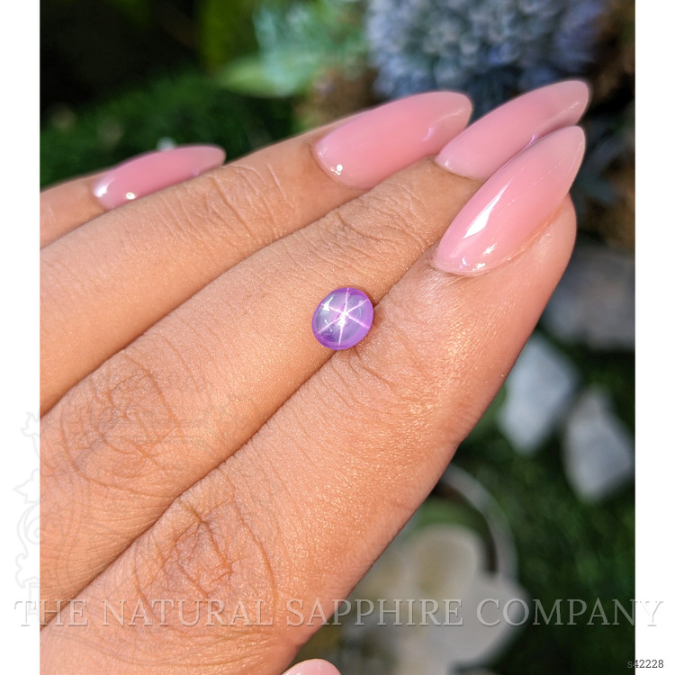 1.20 Ct. Purple Star Sapphire from Ceylon (Sri Lanka)