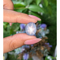 17.37 Ct. Blue Star Sapphire from Ceylon (Sri Lanka) Life Style