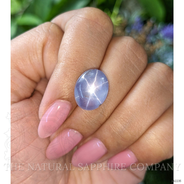 14.09 Ct. Purplish Blue Star Sapphire from Ceylon (Sri Lanka)