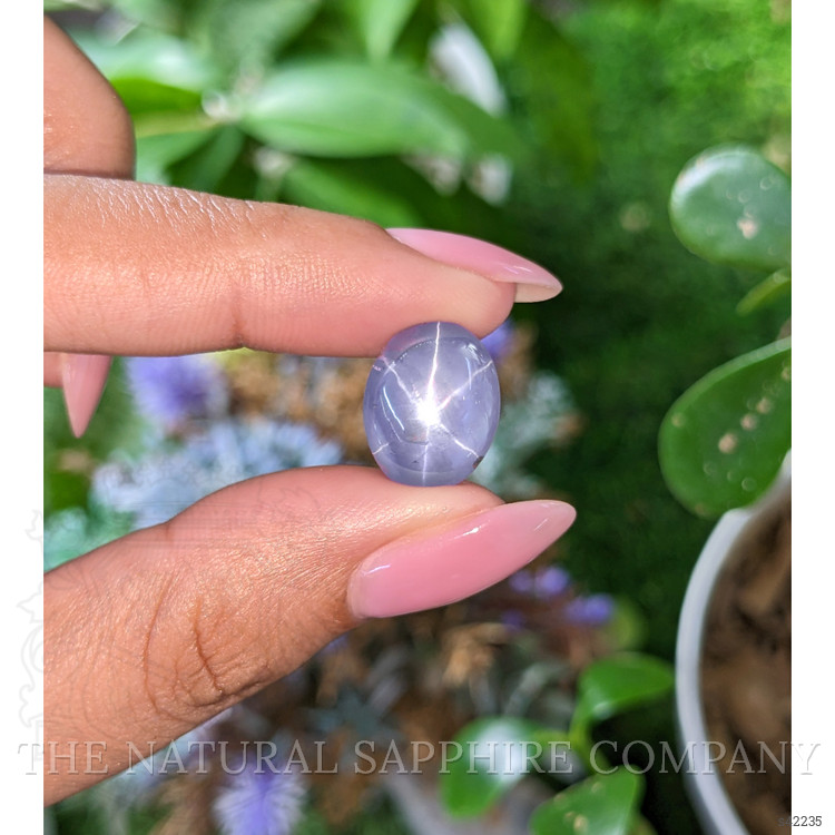 14.09 Ct. Purplish Blue Star Sapphire from Ceylon (Sri Lanka)
