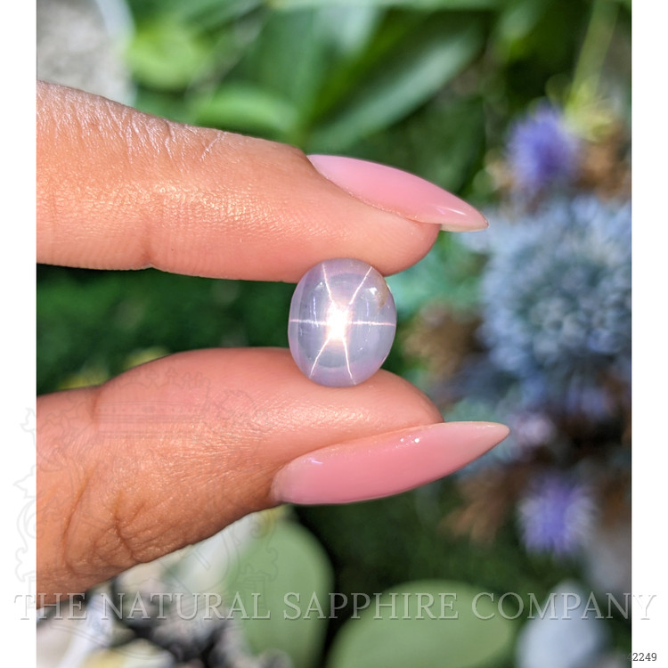 6.09 Ct. Bluish Grey Star Sapphire from Ceylon (Sri Lanka)
