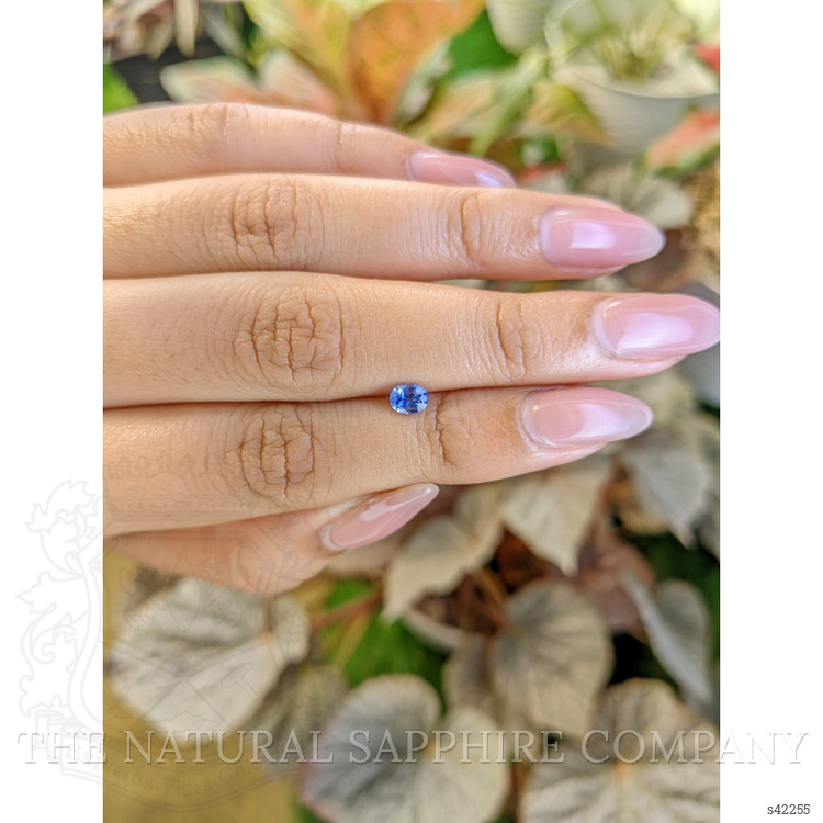 0.45 Ct. Blue Sapphire from Ceylon (Sri Lanka)
