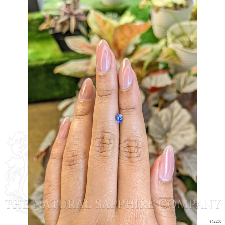 0.45 Ct. Blue Sapphire from Ceylon (Sri Lanka)