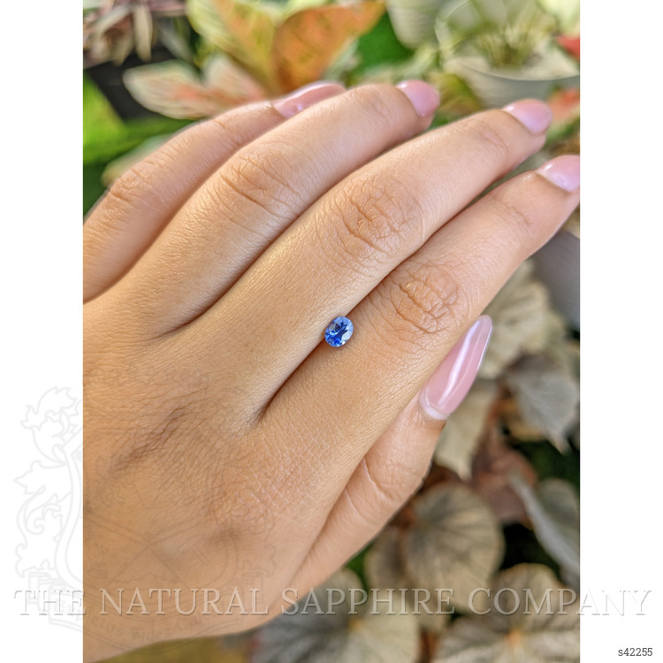 0.45 Ct. Blue Sapphire from Ceylon (Sri Lanka)