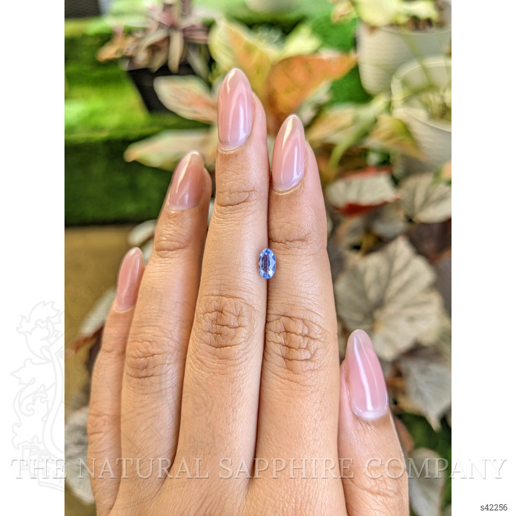 0.85 Ct. Blue Sapphire from Ceylon (Sri Lanka)