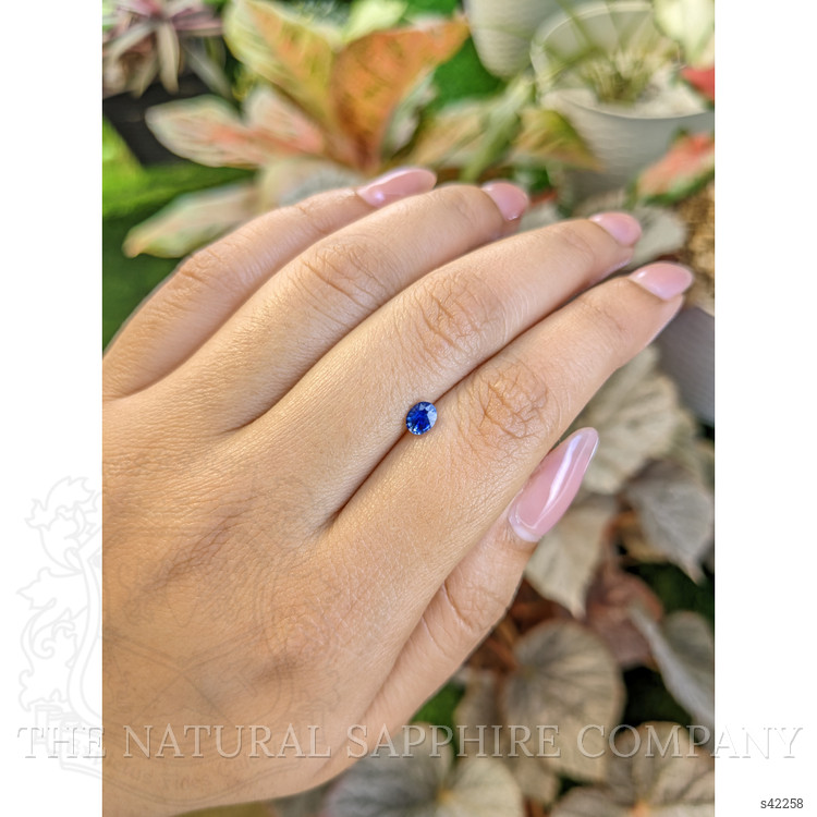 0.45 Ct. Blue Sapphire from Ceylon (Sri Lanka)