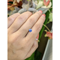 0.43 Ct. Blue Sapphire from Ceylon (Sri Lanka) Life Style
