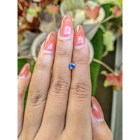 0.49 Ct. Bi Color / Parti Sapphire from Ceylon (Sri Lanka) Life Style