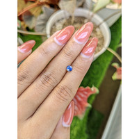 0.49 Ct. Bi Color / Parti Sapphire from Ceylon (Sri Lanka) Life Style