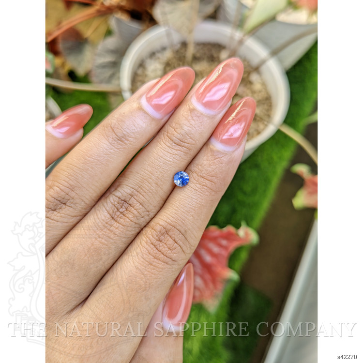 0.49 Ct. Bi Color / Parti Sapphire from Ceylon (Sri Lanka)