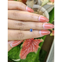 0.49 Ct. Bi Color / Parti Sapphire from Ceylon (Sri Lanka) Life Style
