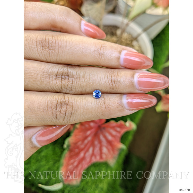 0.49 Ct. Bi Color / Parti Sapphire from Ceylon (Sri Lanka)