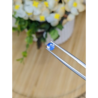 0.49 Ct. Bi Color / Parti Sapphire from Ceylon (Sri Lanka) Life Style