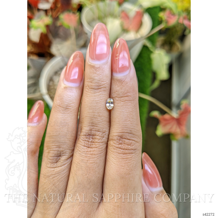 0.45 Ct. Bi Color / Parti Sapphire from Ceylon (Sri Lanka)