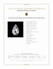 Jewelry Scan Report