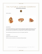 Jewelry Appraisal