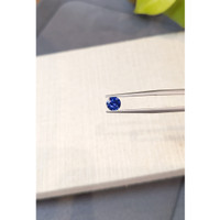 0.73 Ct. Blue Sapphire from Ceylon (Sri Lanka) Life Style