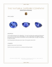 Jewelry Appraisal