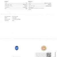 Jewelry Scan Report