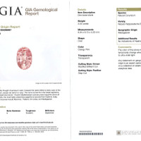 Jewelry Scan Report