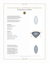 Jewelry 3 D Scan Report