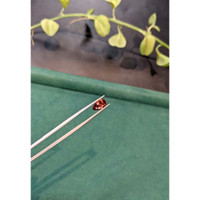 1.92 Ct. Reddish Pink Sapphire from Madagascar Life Style