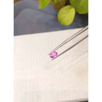 1.17 Ct. Pink Sapphire from Ceylon (Sri Lanka) Life Style
