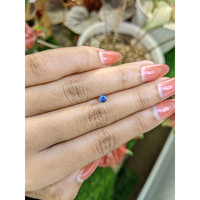 0.24 Ct. Blue Sapphire from Ceylon (Sri Lanka) Life Style