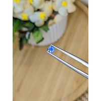 0.24 Ct. Blue Sapphire from Ceylon (Sri Lanka) Life Style
