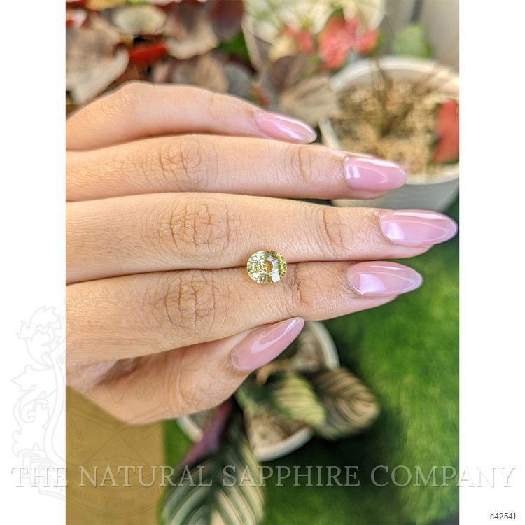 2.03 Ct. Yellow Sapphire from Ceylon (Sri Lanka)