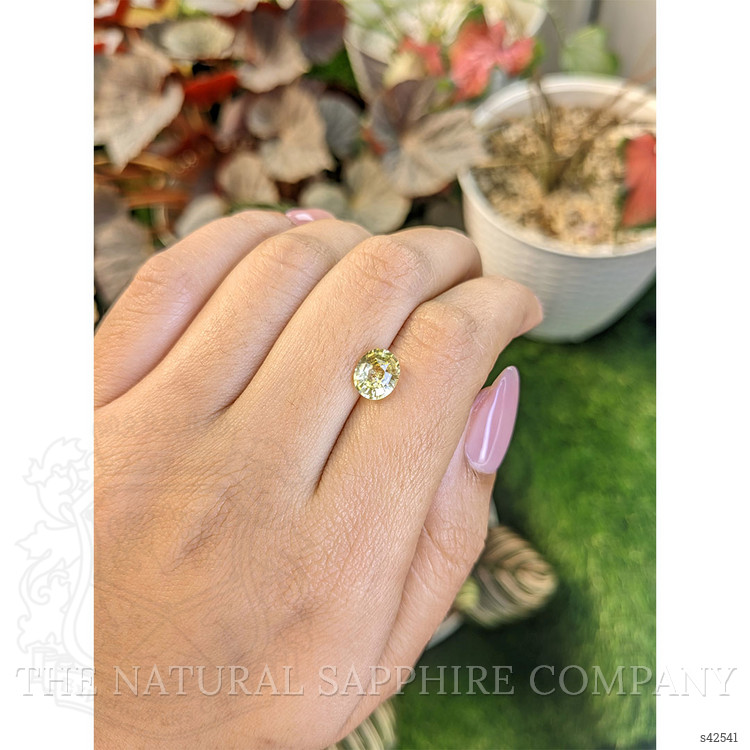 2.03 Ct. Yellow Sapphire from Ceylon (Sri Lanka)