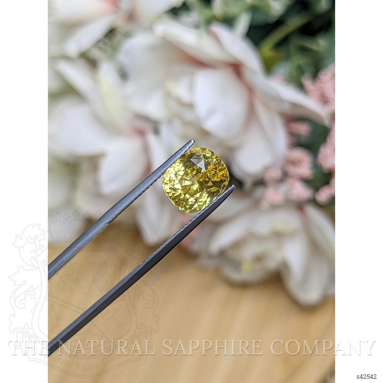 6.04 Ct. Yellow Sapphire from Ceylon (Sri Lanka)