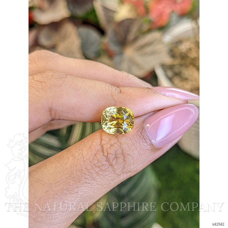 6.04 Ct. Yellow Sapphire from Ceylon (Sri Lanka)