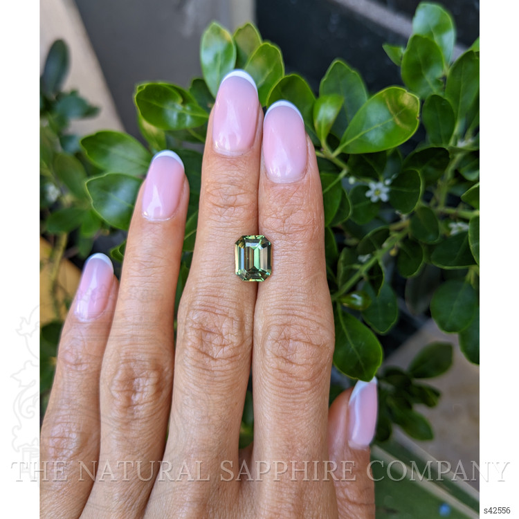 3.53 Ct. Yellowish Green Sapphire from Madagascar