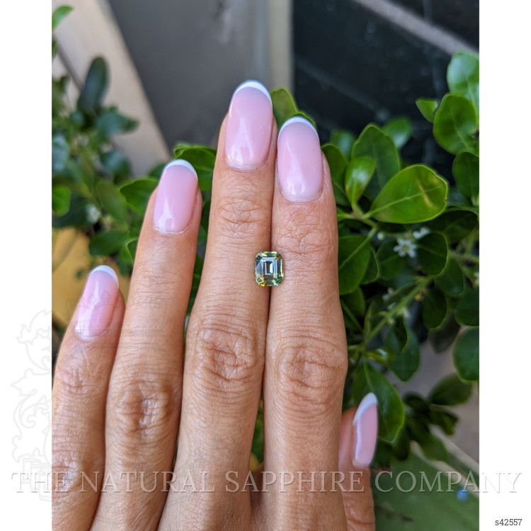 1.52 Ct. Bi Color / Parti Sapphire from Ceylon (Sri Lanka)