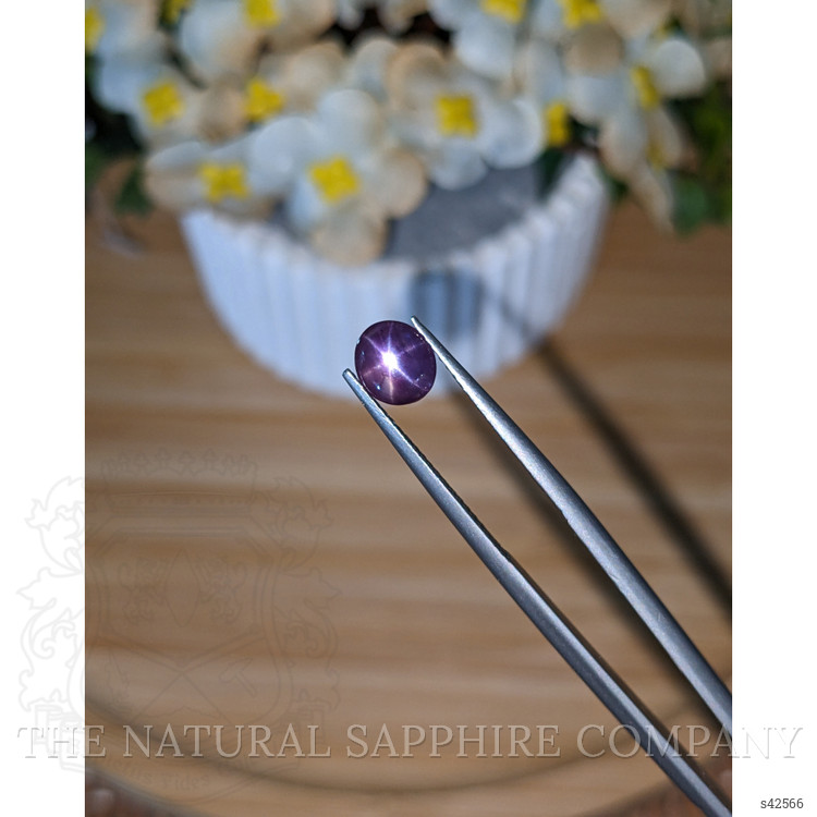1.40 Ct. Pinkish Purple Star Sapphire from Ceylon (Sri Lanka)