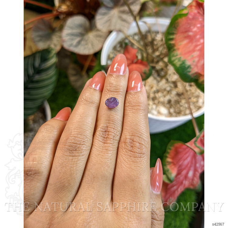 1.45 Ct. Pinkish Purple Star Sapphire from Ceylon (Sri Lanka)