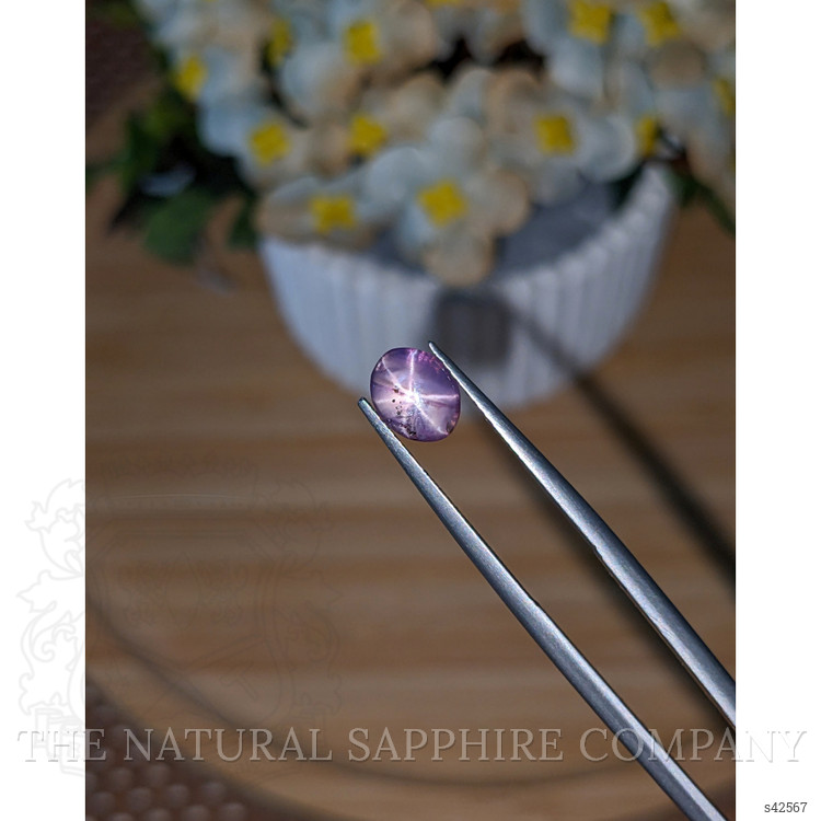 1.45 Ct. Pinkish Purple Star Sapphire from Ceylon (Sri Lanka)