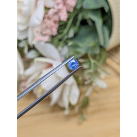 0.63 Ct. Blue Sapphire from Ceylon (Sri Lanka) Life Style