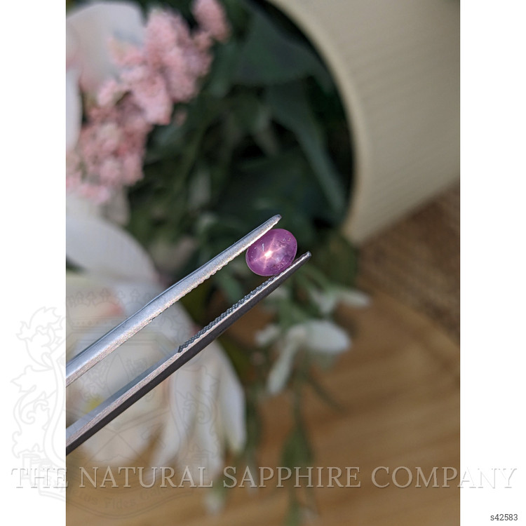1.19 Ct. Pinkish Purple Star Sapphire from Ceylon (Sri Lanka)