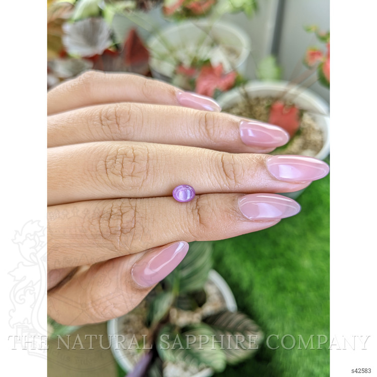 1.19 Ct. Pinkish Purple Star Sapphire from Ceylon (Sri Lanka)