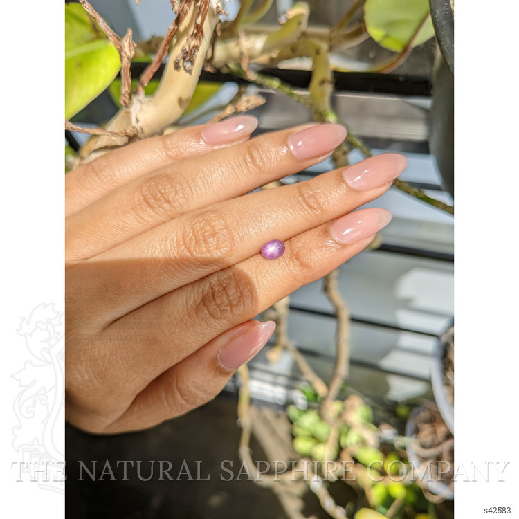 1.19 Ct. Pinkish Purple Star Sapphire from Ceylon (Sri Lanka)