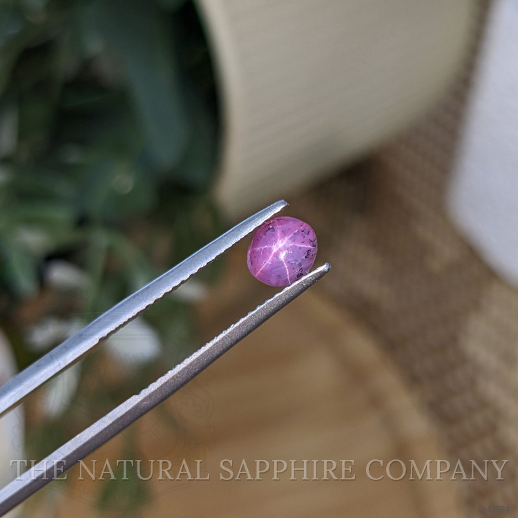 1.30 Ct. Pinkish Purple Star Sapphire from Ceylon (Sri Lanka)