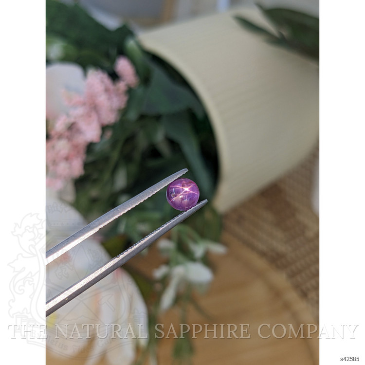 1.34 Ct. Pinkish Purple Star Sapphire from Ceylon (Sri Lanka)