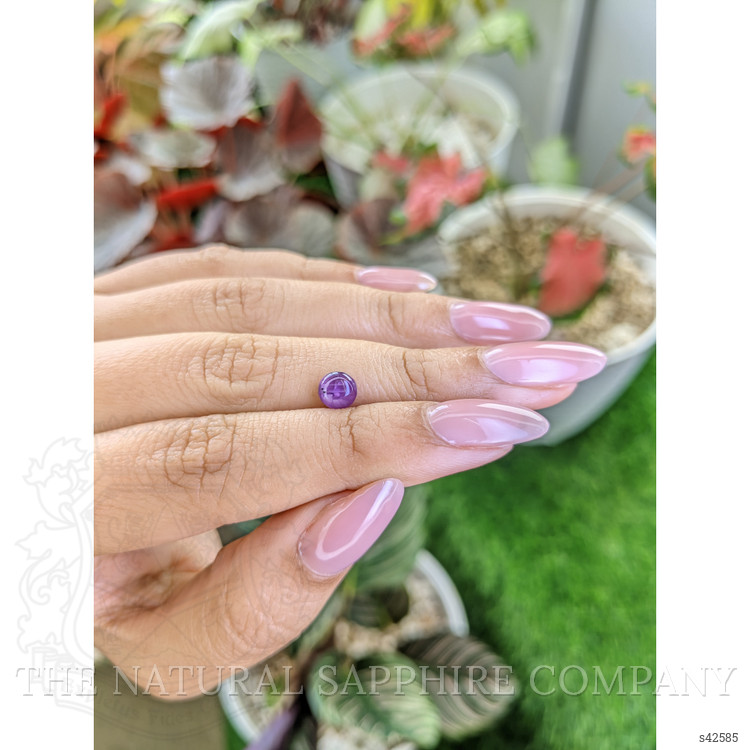 1.34 Ct. Pinkish Purple Star Sapphire from Ceylon (Sri Lanka)