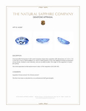 3.08 Ct. Blue Sapphire from Ceylon (Sri Lanka) Appraisal