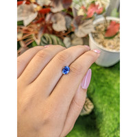 1.52 Ct. Blue Sapphire from Ceylon (Sri Lanka) Life Style