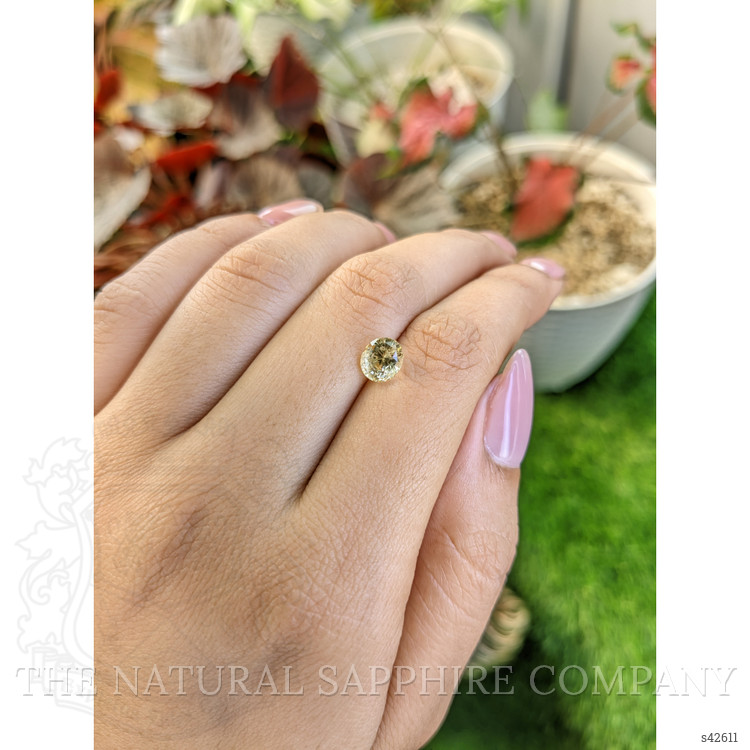 1.90 Ct. Yellow Sapphire from Ceylon (Sri Lanka)