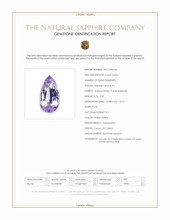 Jewelry Scan Report