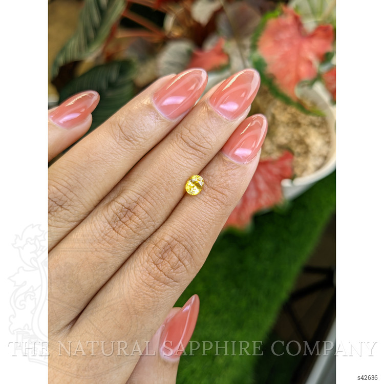 0.67 Ct. Yellow Sapphire from Ceylon (Sri Lanka)